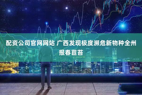 配资公司官网网站 广西发现极度濒危新物种全州报春苣苔